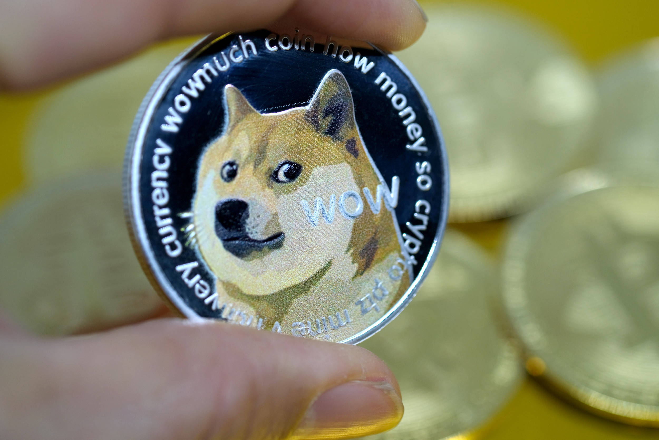 Dogecoin柴犬模因 壁紙 — 一隻手拿著閃亮的Dogecoin，上面有柴犬和「WOW」文字，背景是模糊的黃色其他硬幣。