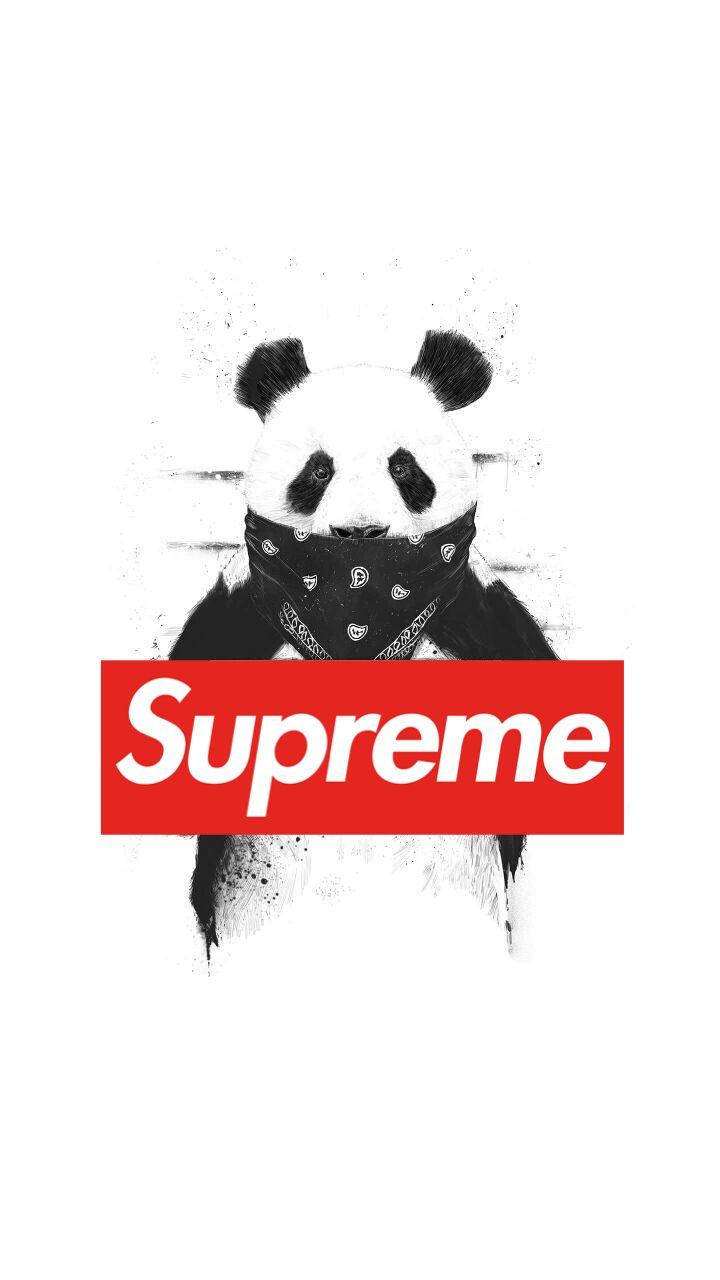 Dope Supreme 熊貓造型 壁紙 — 一隻戴著頭巾的風格化熊貓站在一個大膽的紅色Supreme標誌後面，背景是帶有紋理的白色。