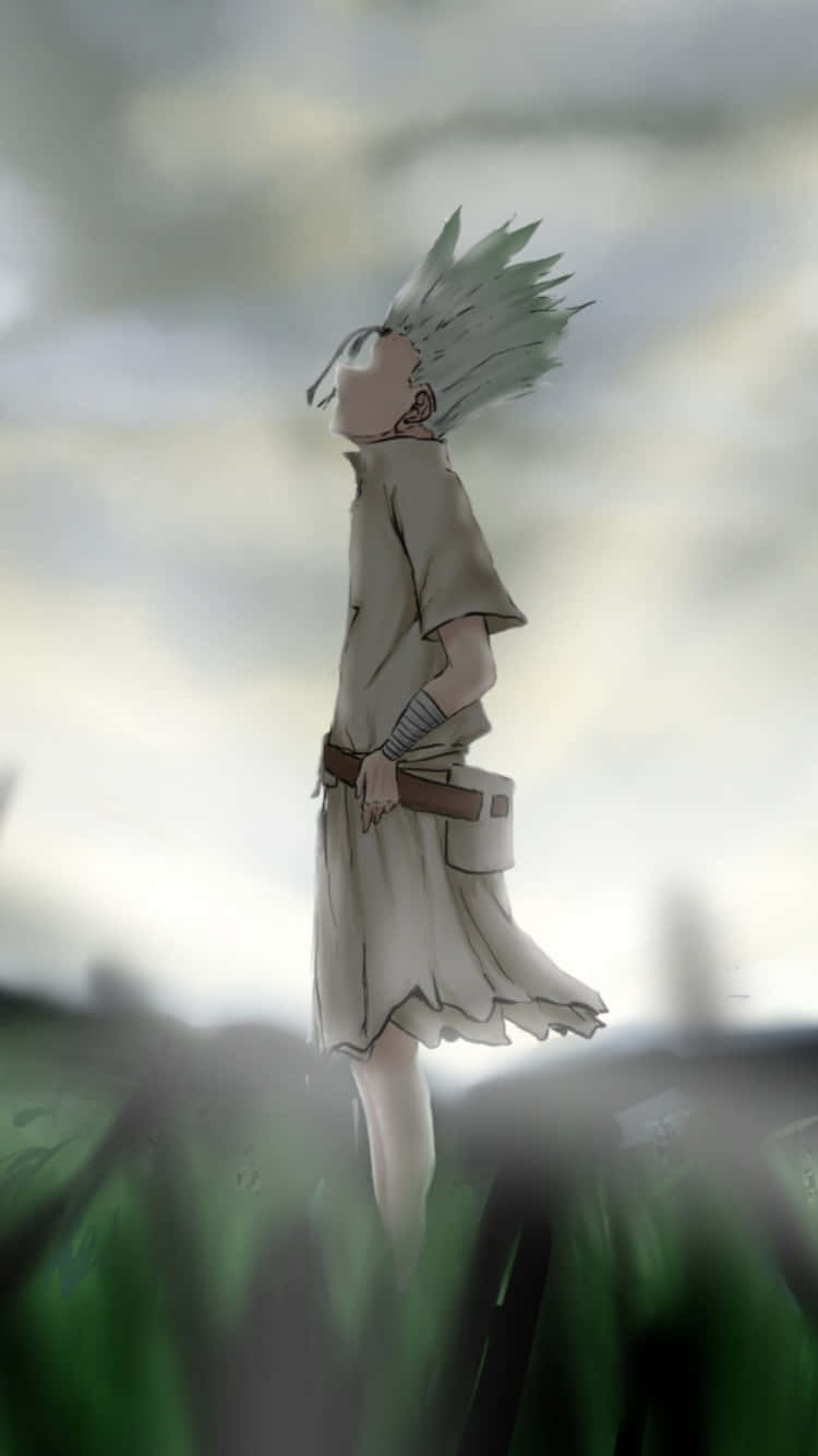 Dr. Stone 個人畫面 壁紙 — 一個刺蝟頭動漫角色穿著米色長袍，站在高草叢中，天空多雲。