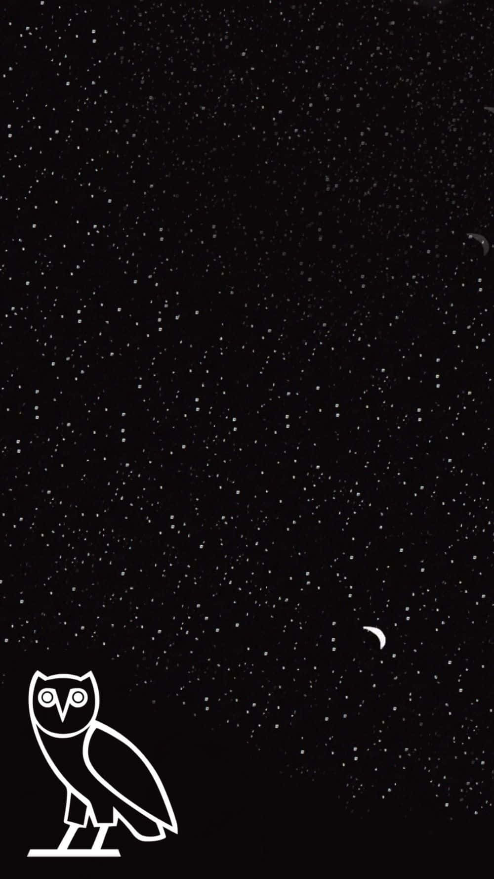 星空下貓頭鷹的白色線條藝術，帶新月。