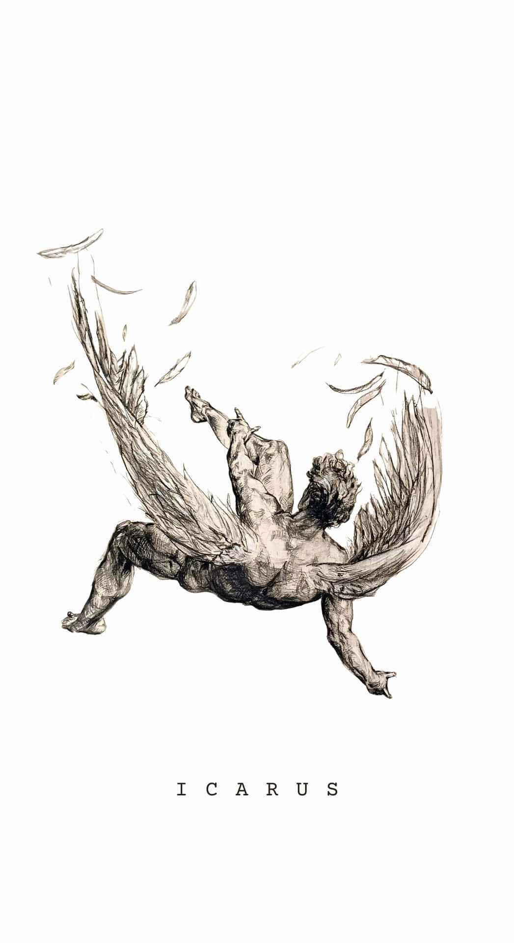  壁紙 — 一幅戲劇性的黑白插圖，描繪伊卡洛斯墜落，翅膀融化為羽毛，背景為純白色。
