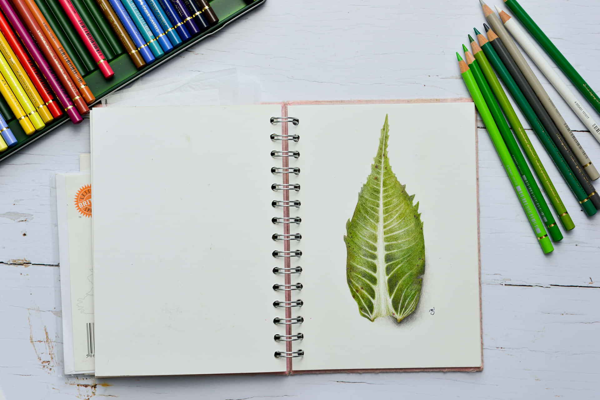 素描本中的葉子畫，周圍有彩色鉛筆。
