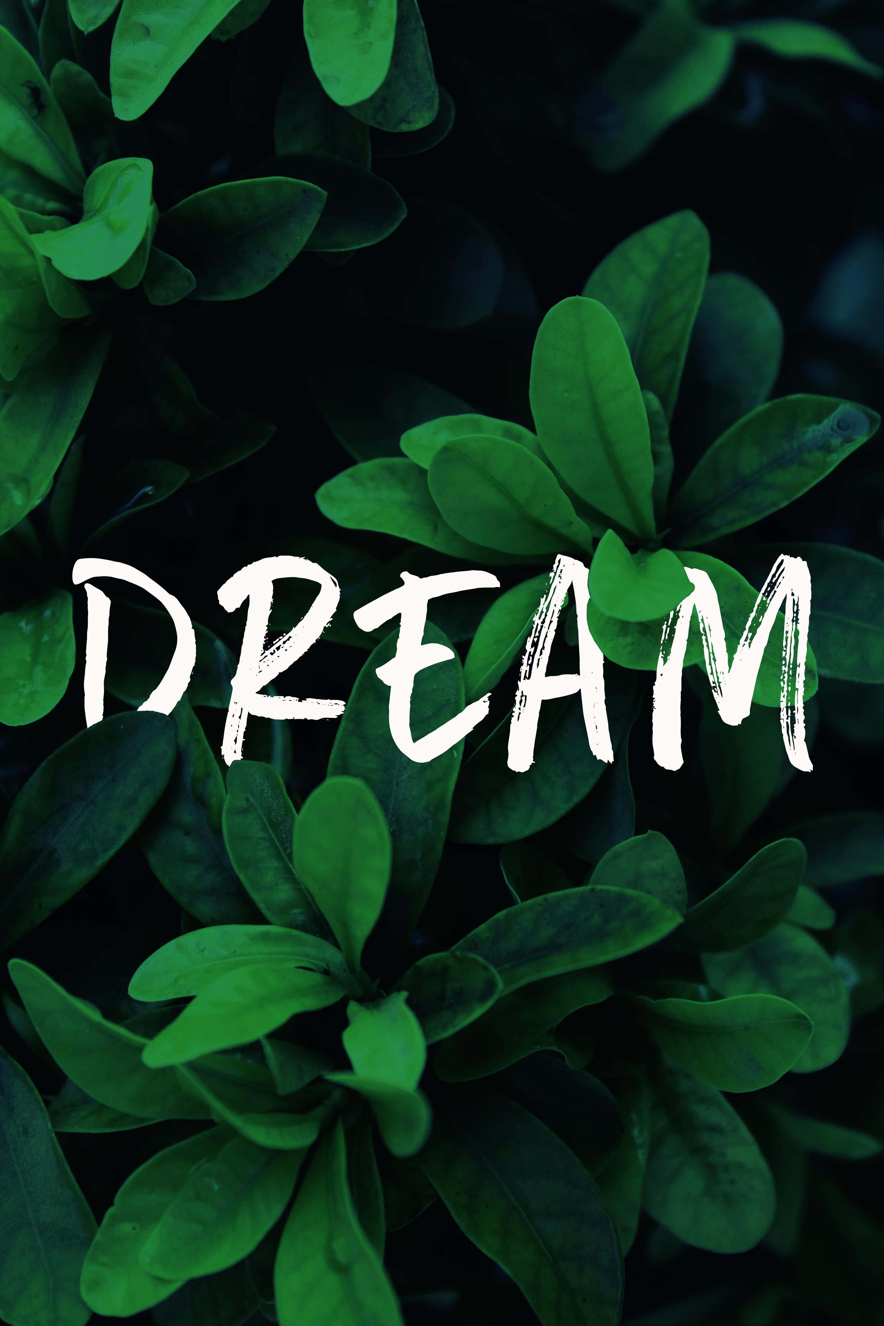dream - 綠色背景配上「dream」字樣 壁紙