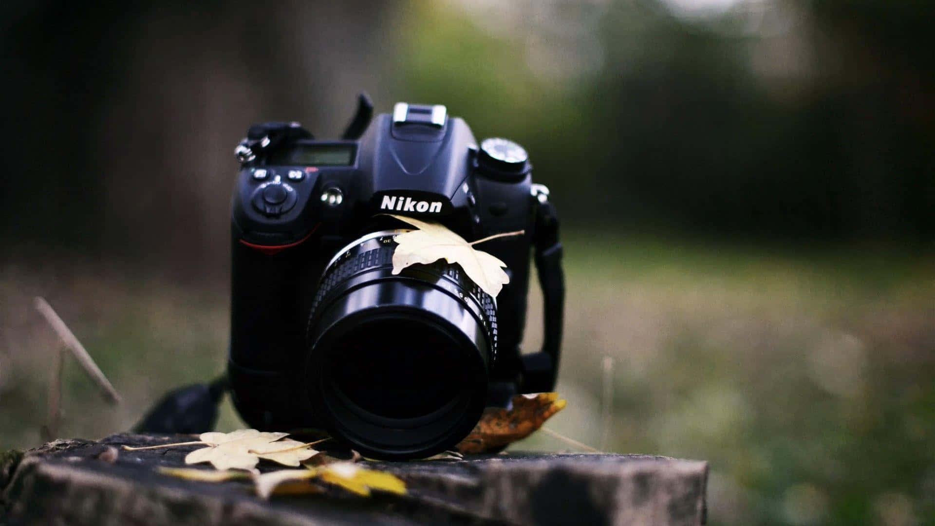 專業DSLR相機 壁紙 — 一部黑色 Nikon DSLR 相機放在森林環境中的樹樁上，周圍散落著秋葉。
