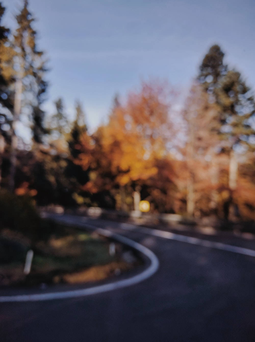 彎曲的道路蜿蜒穿過秋天的森林，有金色的樹木和藍天。