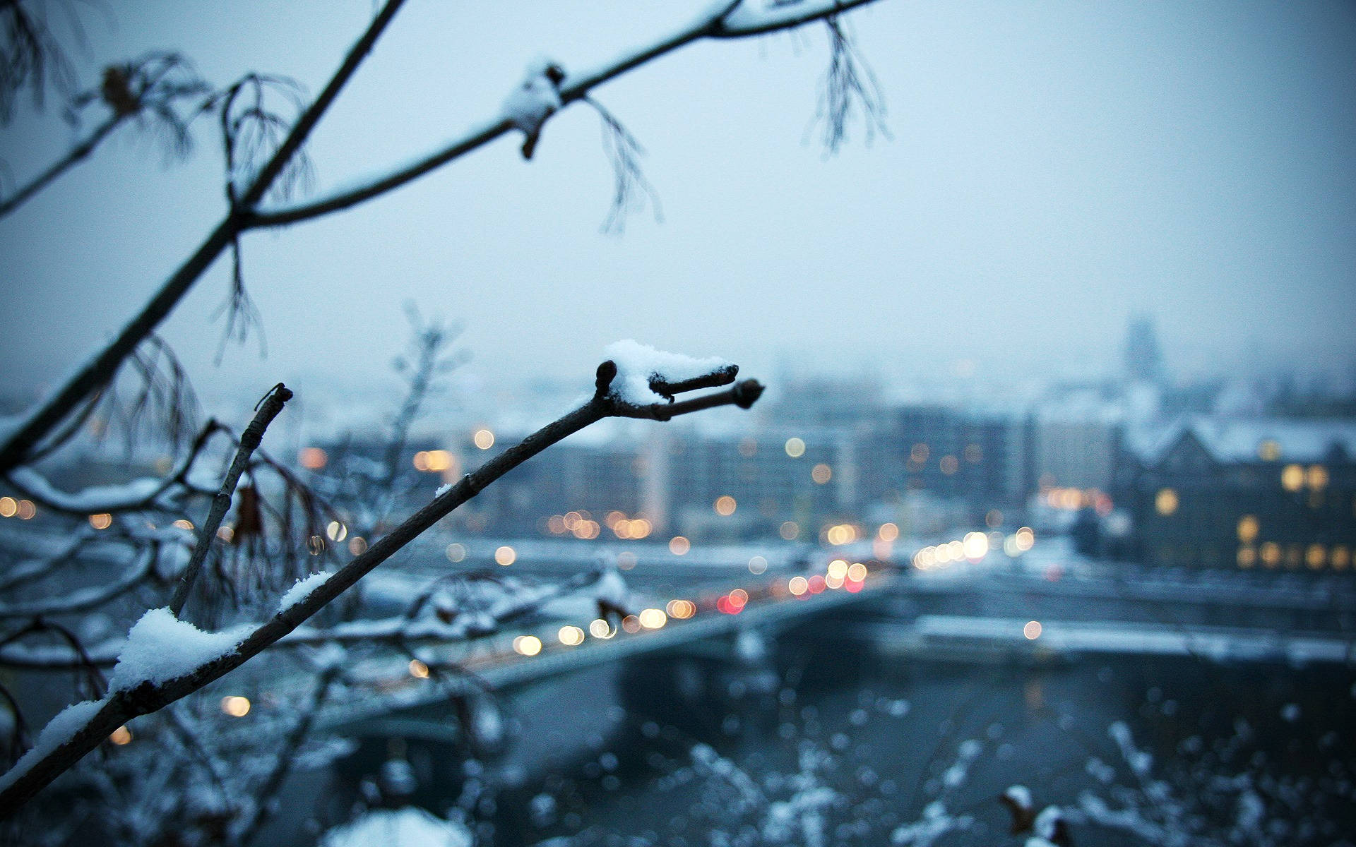 積雪的樹枝框住了一片模糊的城市景觀，夜燈閃爍。