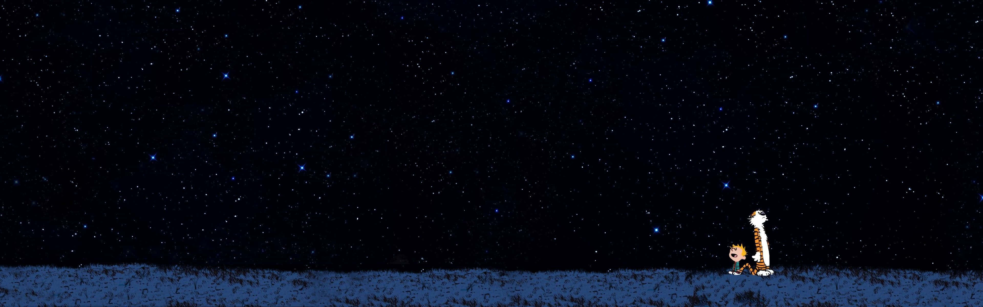兩隻卡通貓站在雪中，星空下。