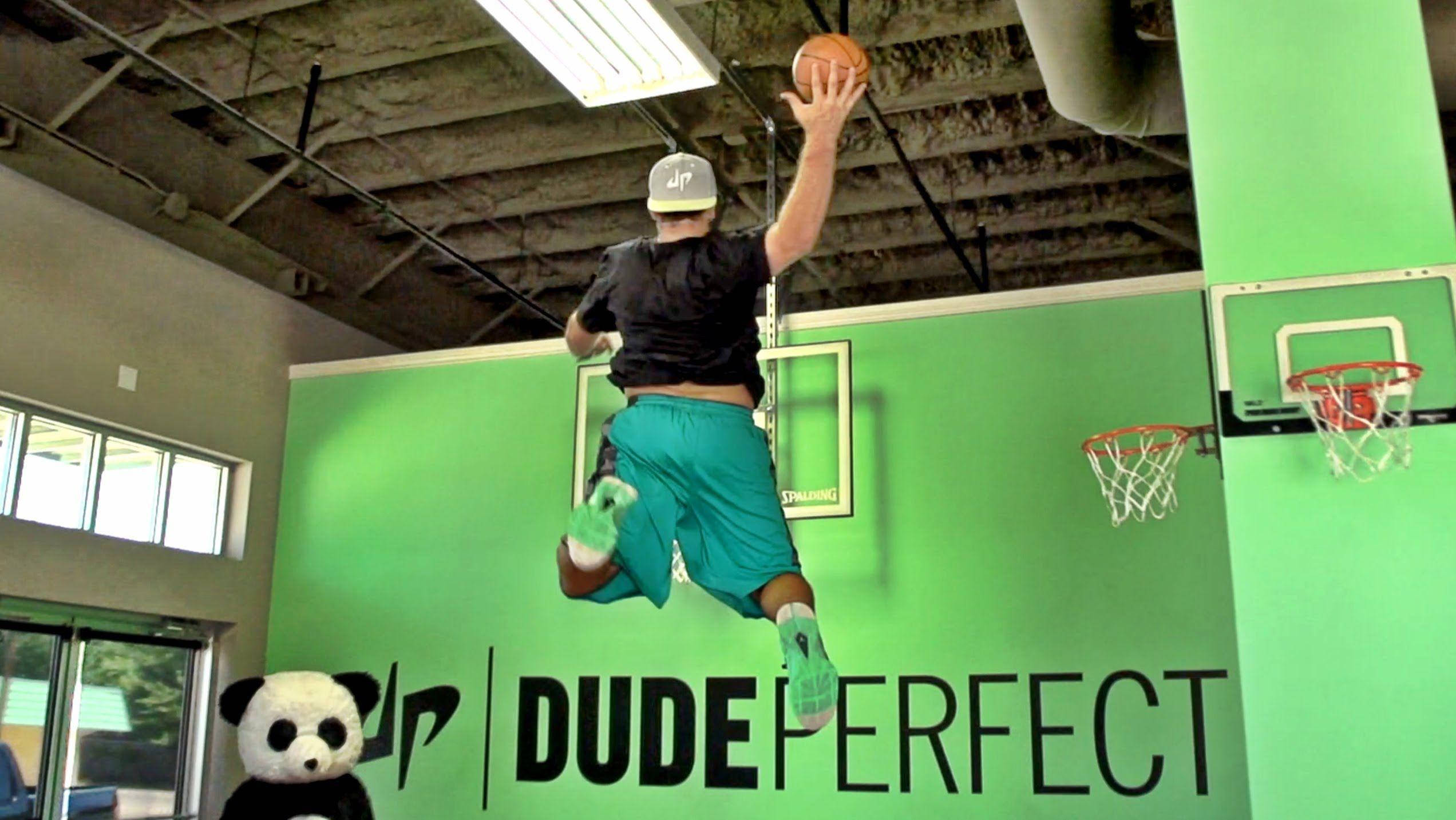 Dude Perfect 籃球熊貓壁紙 壁紙 — 一名戴帽及穿青綠色短褲的男子在明亮的綠色室內體育館中跳起入樽，附近有一隻熊貓毛公仔。