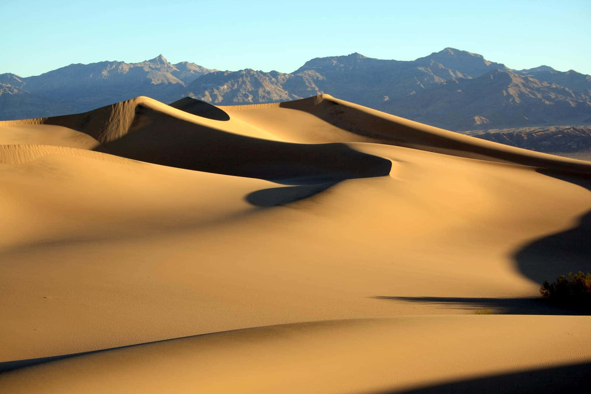 進入Dune的世界 壁紙 — 金色沙丘在溫暖陽光下彎曲，遠處崎嶇的山脈在清澈的藍天下升起。