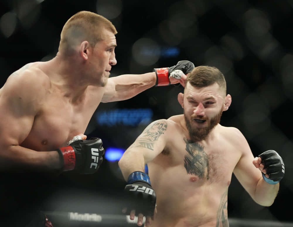 兩名男性拳手在UFC比賽中於八角籠內互毆。