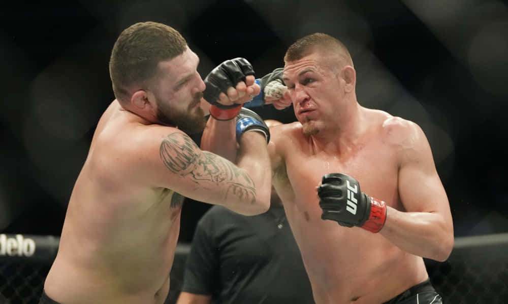 兩名MMA拳手在籠中進行殘酷比賽時互相出拳。