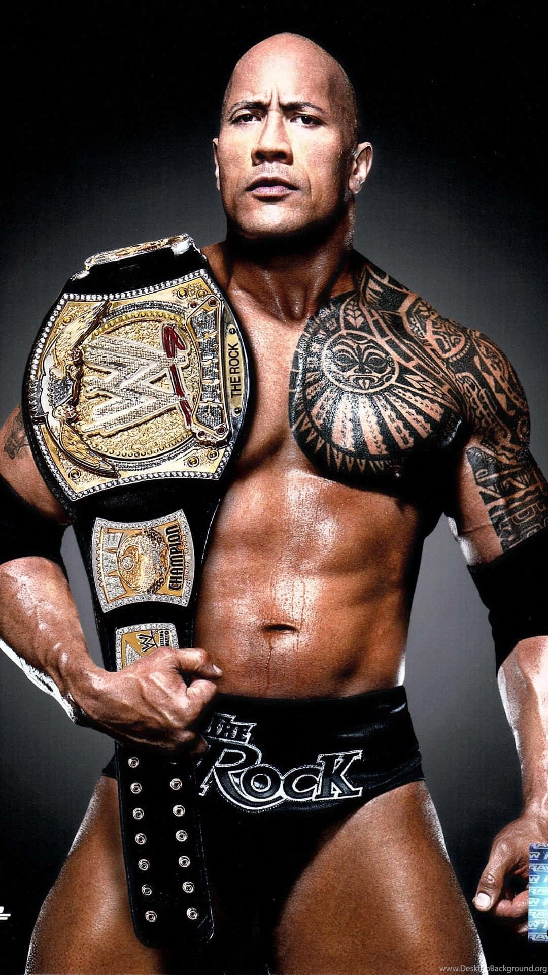 狄維·莊遜 桌布 壁紙 — Dwayne Johnson 以 The Rock 身份在攝影棚拍攝中強勢站立，佩戴冠軍腰帶和黑色短褲，他的標誌性紋身清晰可見。