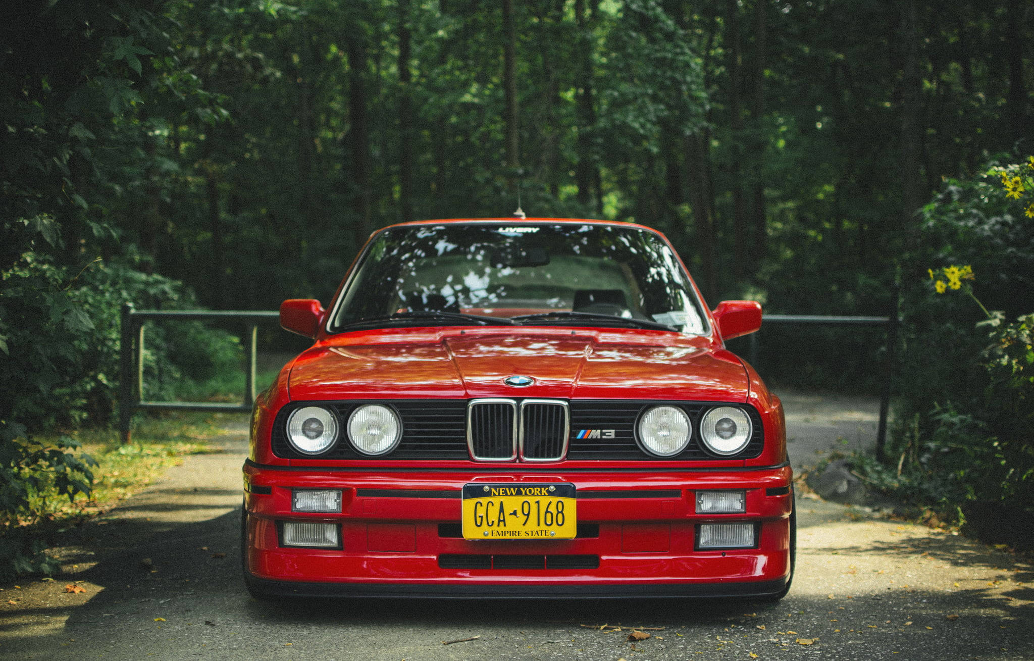 紅色 E30 M3 BMW 電腦壁紙 壁紙 — 一架鮮紅色BMW M3跑車停泊在森林小徑上，斑駁的陽光穿過茂密的綠樹篩落下來。
