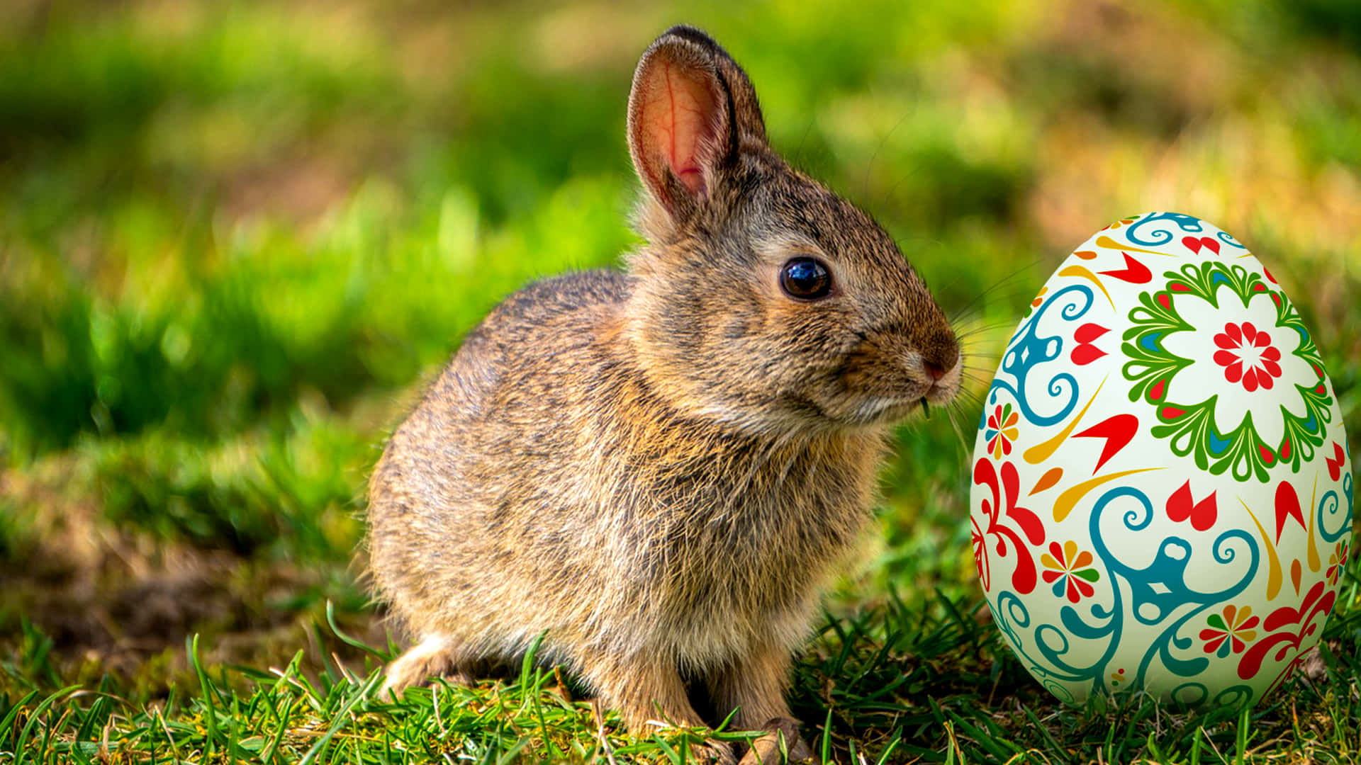 Easter 3840 x 2160 背景 壁紙