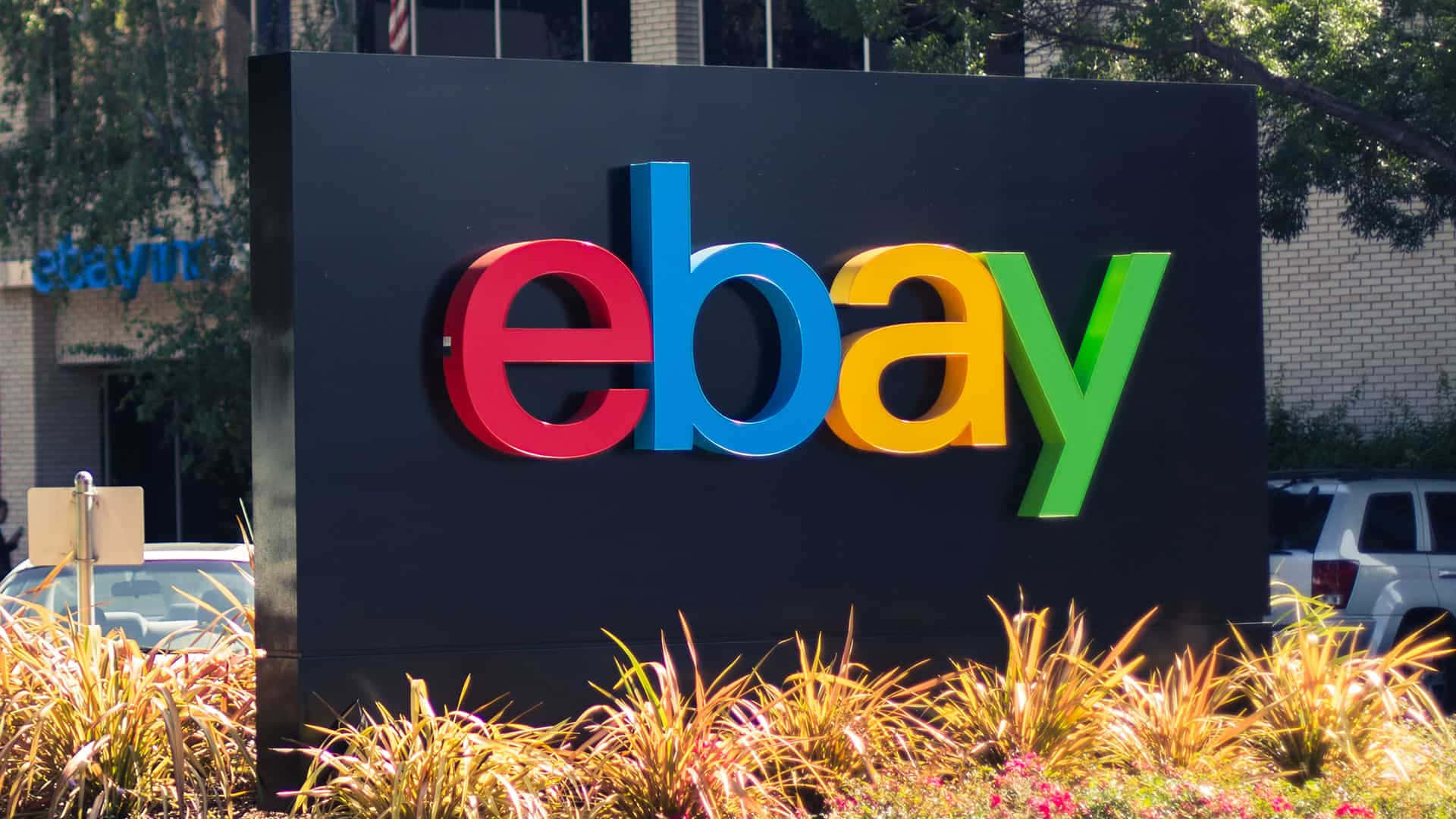 綠意盎然背景下的eBay UK標誌 壁紙 — 鮮豔的eBay標誌以紅、藍、黃、綠色在黑色背景上高聳，下方有陽光照射的觀賞草。