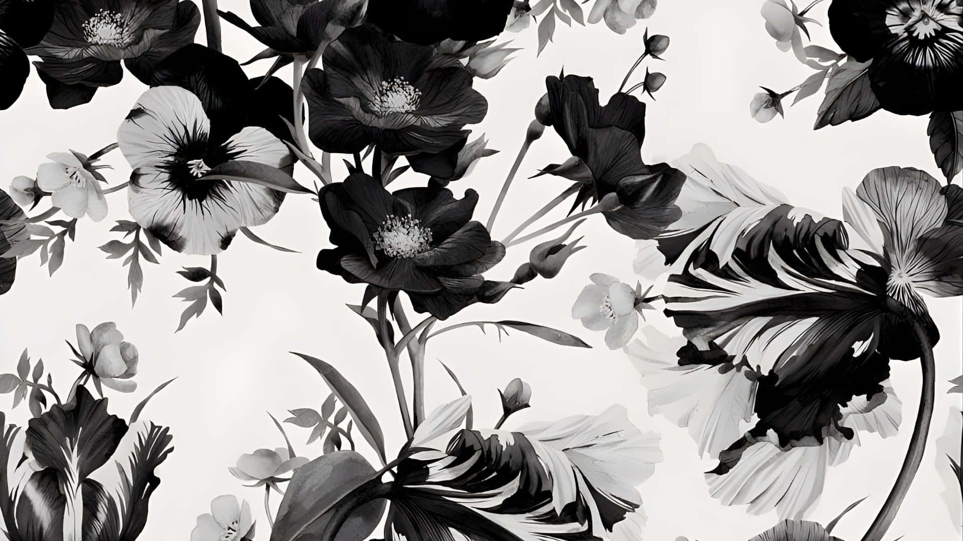  壁紙 — 優雅的黑白花卉圖案，帶有戲劇性的陰影和精緻的花瓣，背景為淺色。