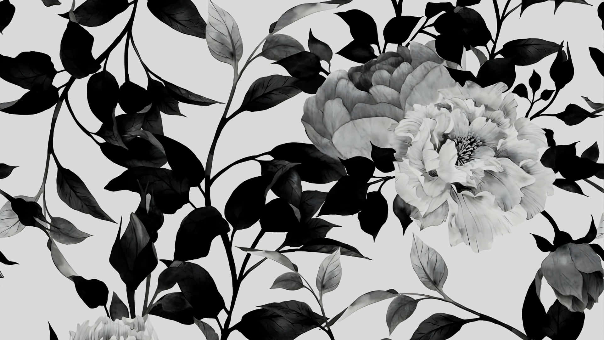  壁紙 — 優雅的黑白花卉壁紙，淺灰色背景上帶有精緻的牡丹和葉子。