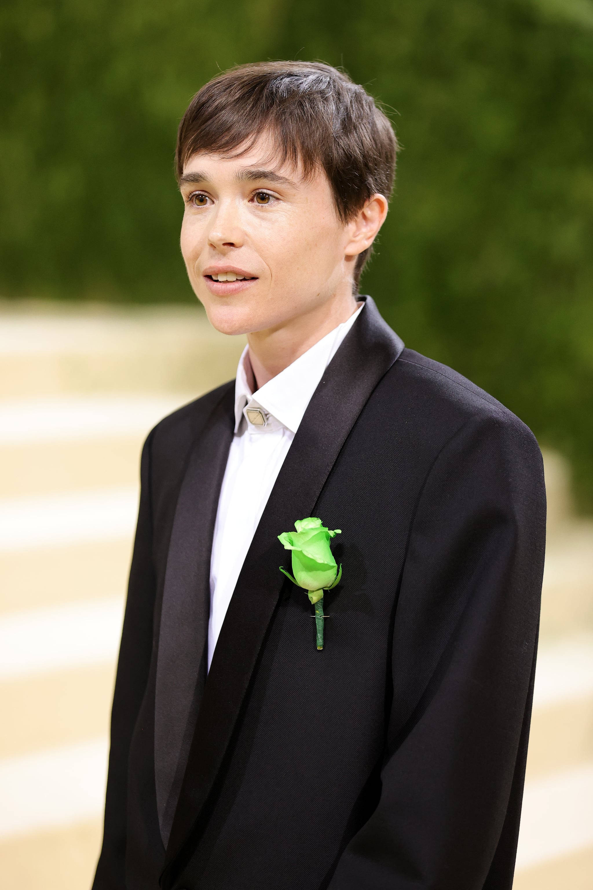 Elliot Page 綠玫瑰 壁紙 — 一個身穿黑色禮服、佩戴亮綠色玫瑰胸花的人，站在模糊的綠色和米色背景前。