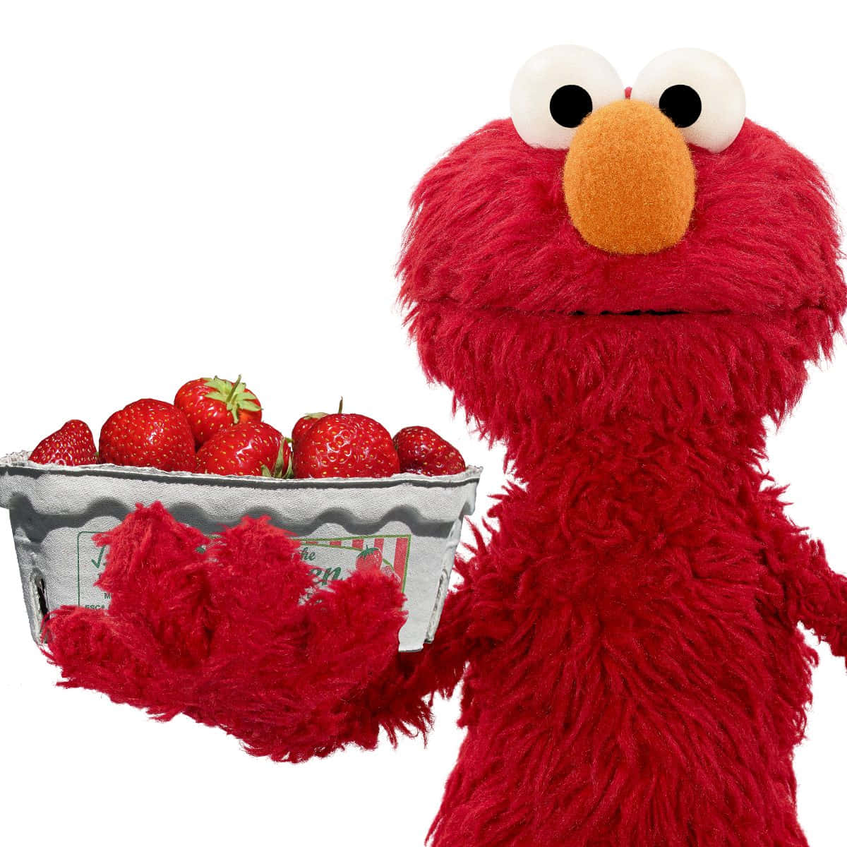 Elmo 桌布 壁紙 — Elmo 喺純白背景前拎住一盒新鮮士多啤梨。