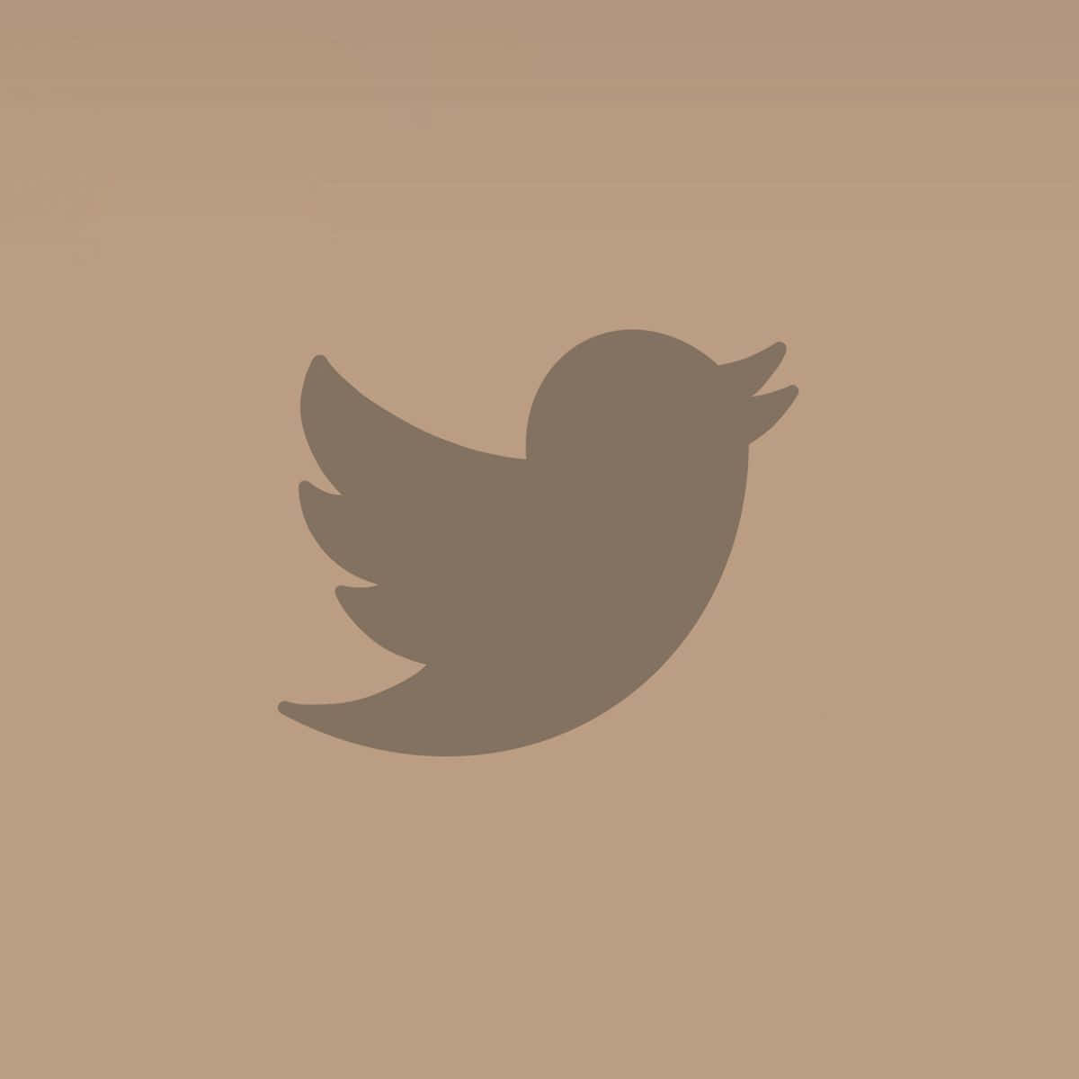 米色背景上的灰色Twitter鳥標誌
