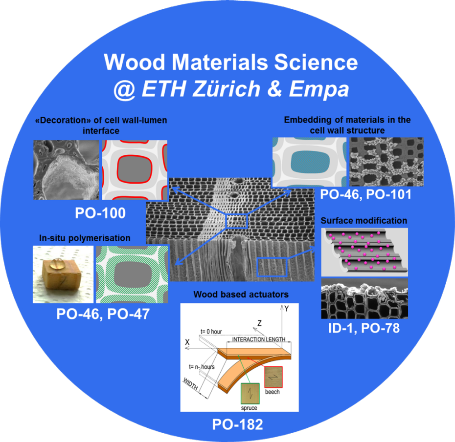 ETH Zürich & Empa木材材料科學研究海報 壁紙 — 圓形資訊圖表，展示蘇黎世聯邦理工學院和瑞士聯邦材料科學與技術實驗室的木材材料科學研究，附有標籤的顯微圖像和技術圖表。
