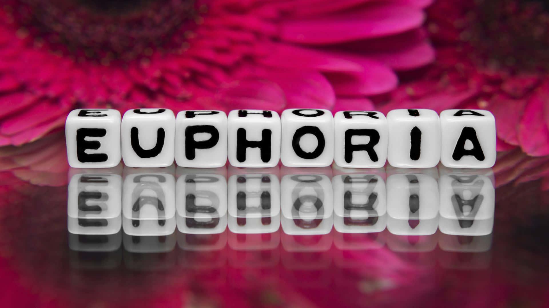 euphoria - euphoria 的 euphoria 壁紙