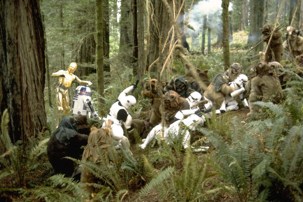 Ewok森林伏擊場景 壁紙 — 星際大戰角色包括c3po、r2d2和風暴兵被烏奇族包圍在一個蕨類植物和高大樹木茂密的森林中。