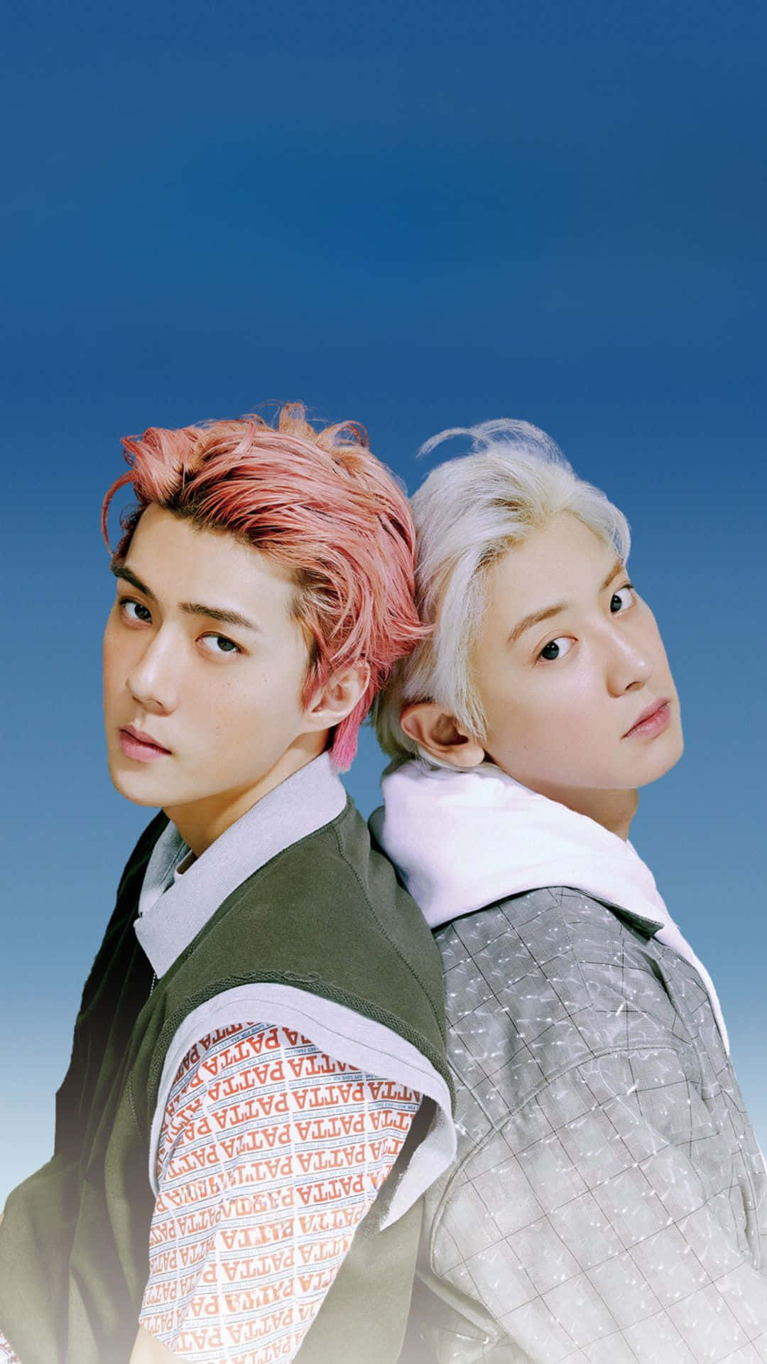 EXO K-pop 偶像團體圖片 壁紙 — 兩位年輕男子，一頭粉紅與銀色頭髮，在清澈的藍天下背對背站立，回頭望向身後。