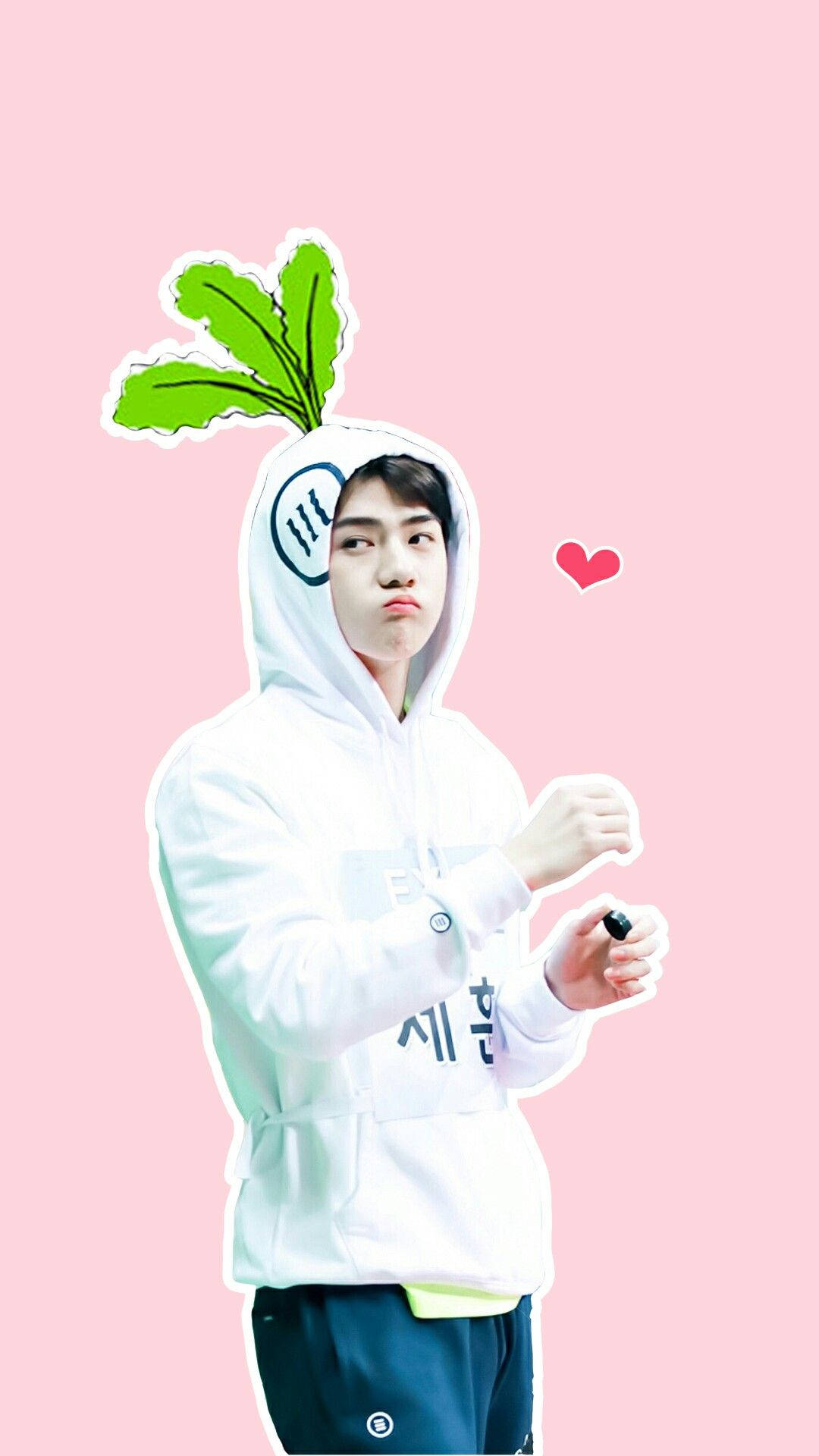 EXO 崔勝哲 ISAC 壁紙