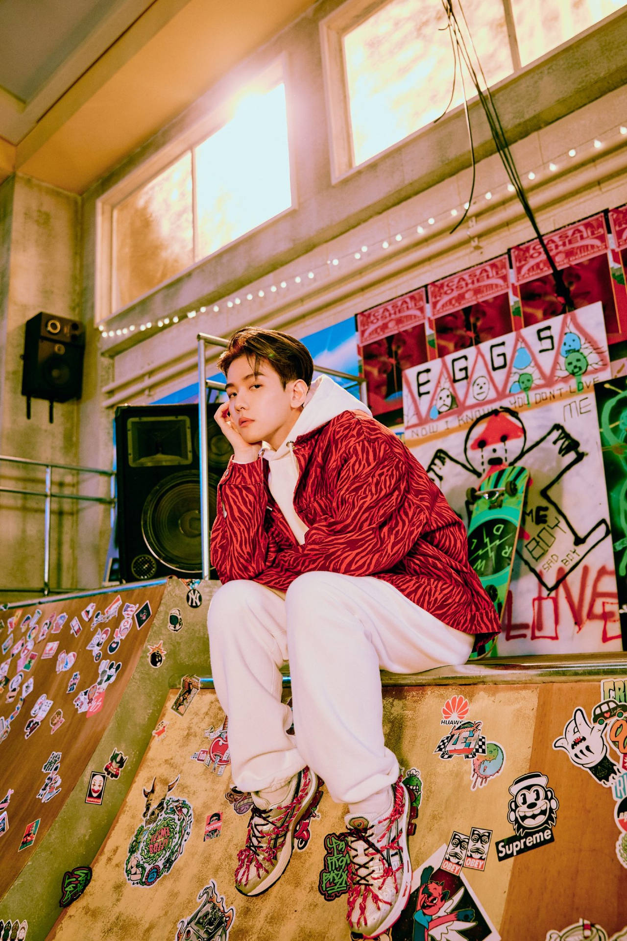 EXO Baekhyun 滑板 壁紙 — 一名身穿紅色圖案外套的年輕男子，隨意地坐在一個被塗鴉覆蓋、沐浴在溫暖陽光下的滑板坡道上。