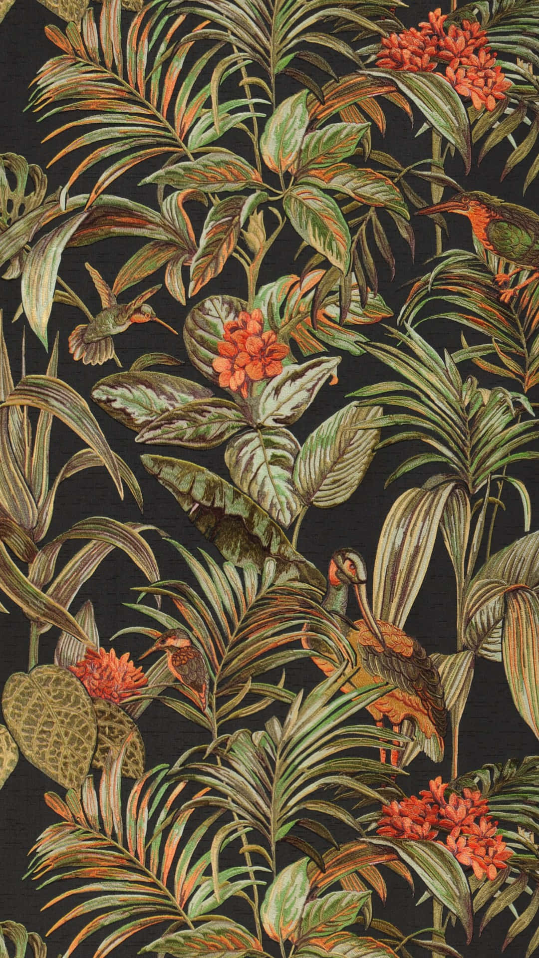  壁紙 — 異國熱帶鳥類和茂密樹葉，鮮豔的橙色花朵在深黑色背景上綻放。