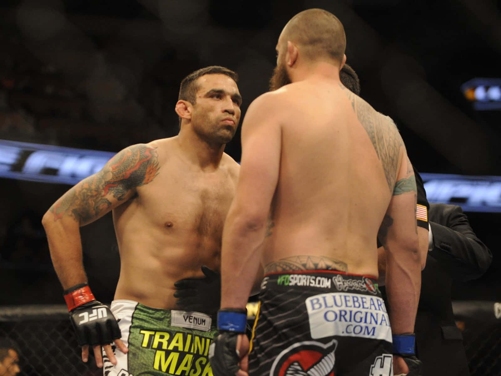 Fabricio Werdum 與 Travis Browne 對峙 壁紙 — 兩名肌肉發達的MMA拳手在八角籠中對峙，專注力極強，紋身在明亮的場館燈光下清晰可見。