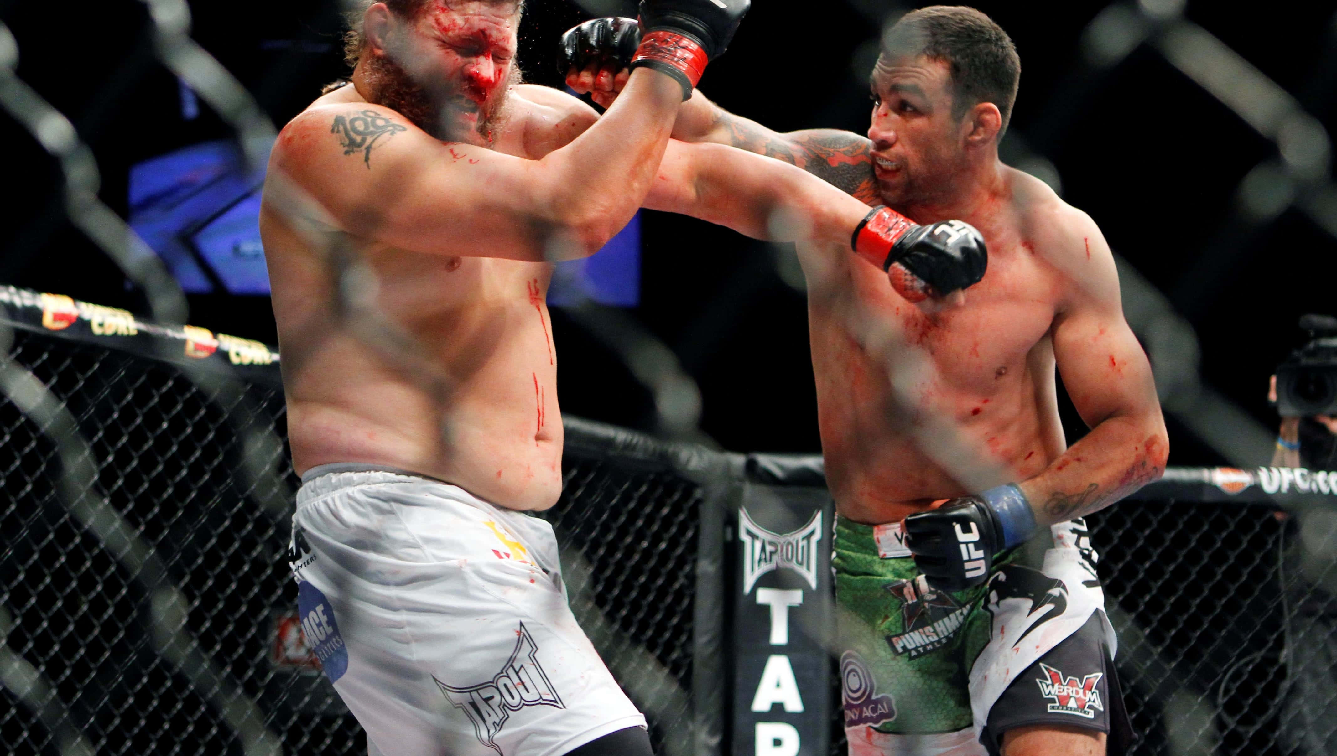 Fabricio Werdum 擊打 Roy Nelson 壁紙 — 兩名血跡斑斑的MMA拳手在激烈的鐵籠賽中交鋒，其中一人打出強力一拳。