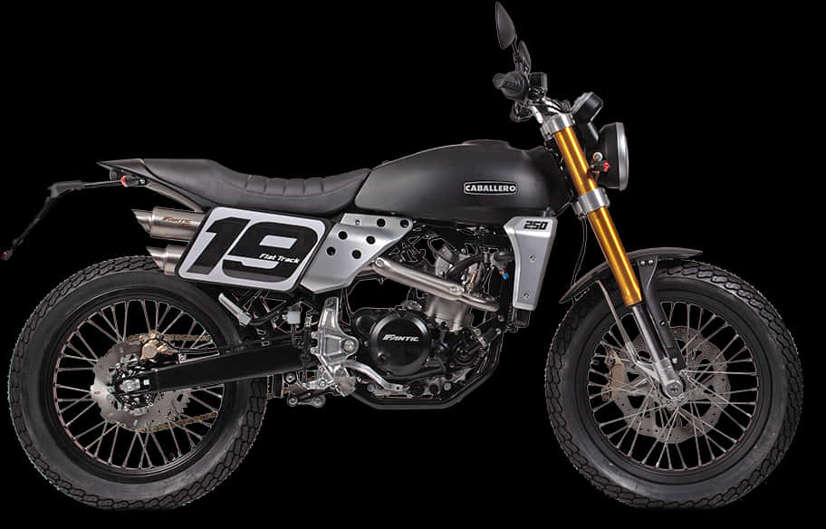 Fantic Caballero Flat Track250 電單車 壁紙