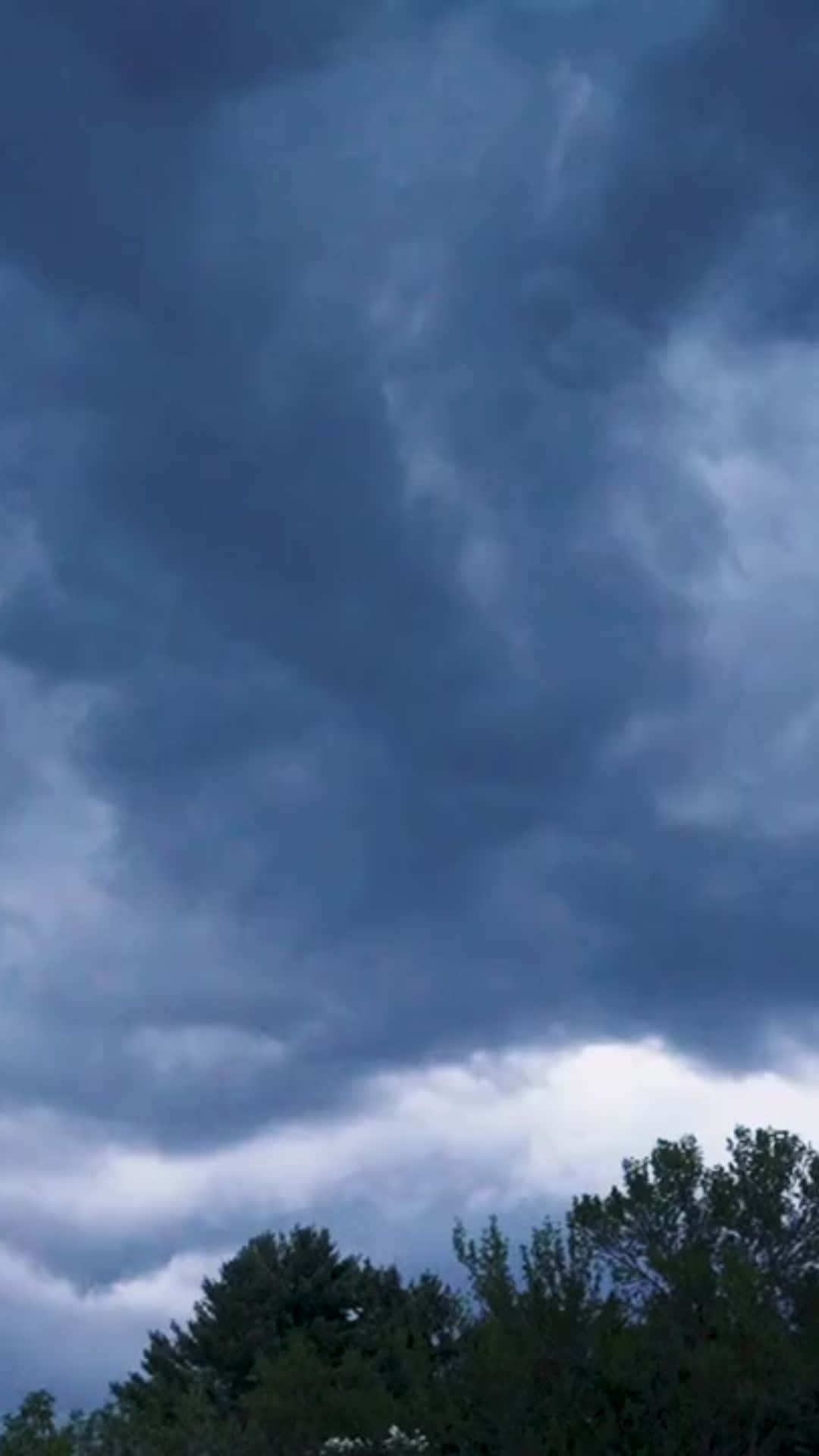 黑暗的風暴雲在剪影般的樹梢之上旋轉