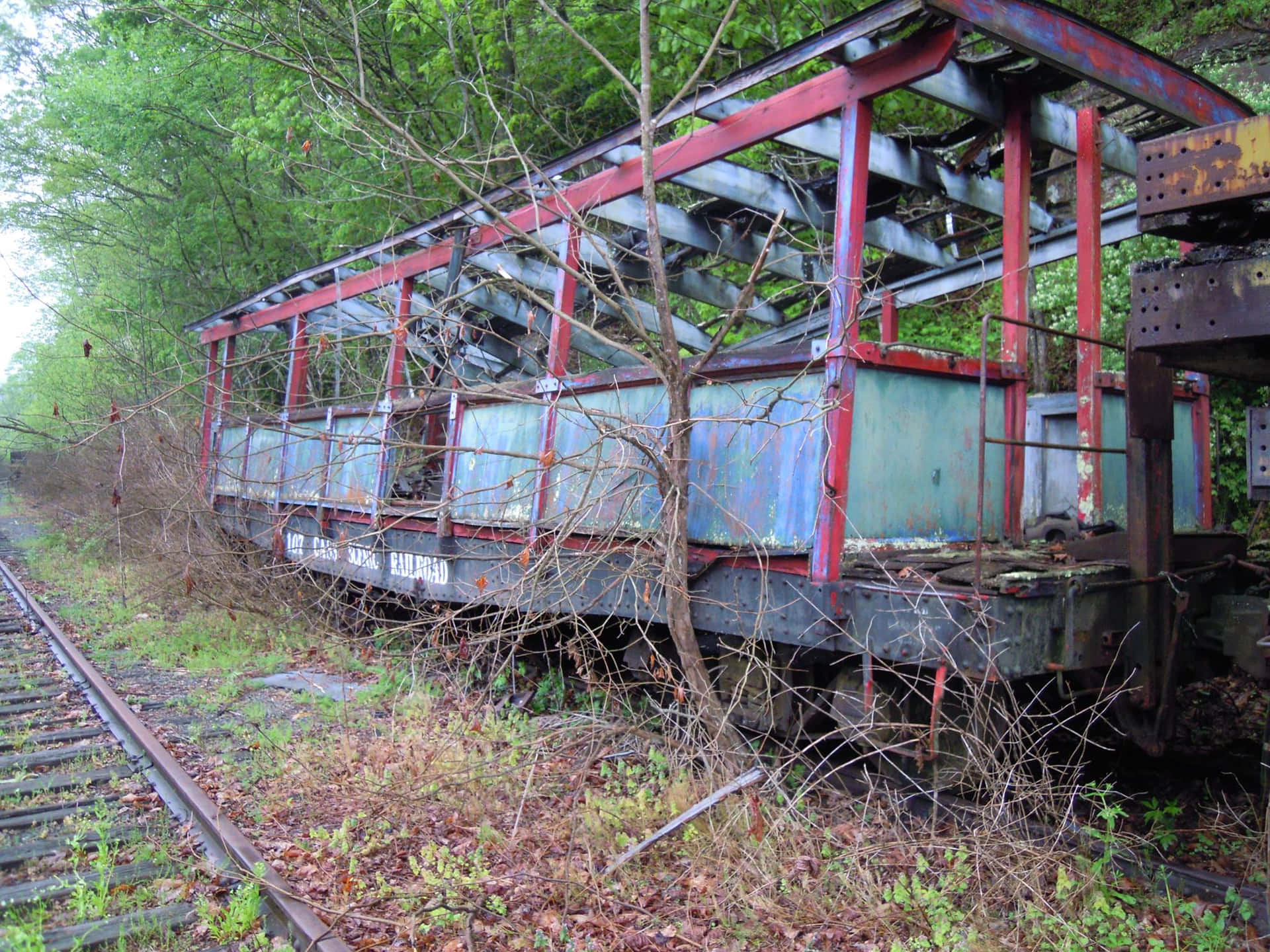  壁紙 — 廢棄生鏽的火車車廂，紅色框架和藍色面板，被茂密的綠色森林包圍，躺在鐵軌上長滿植物。