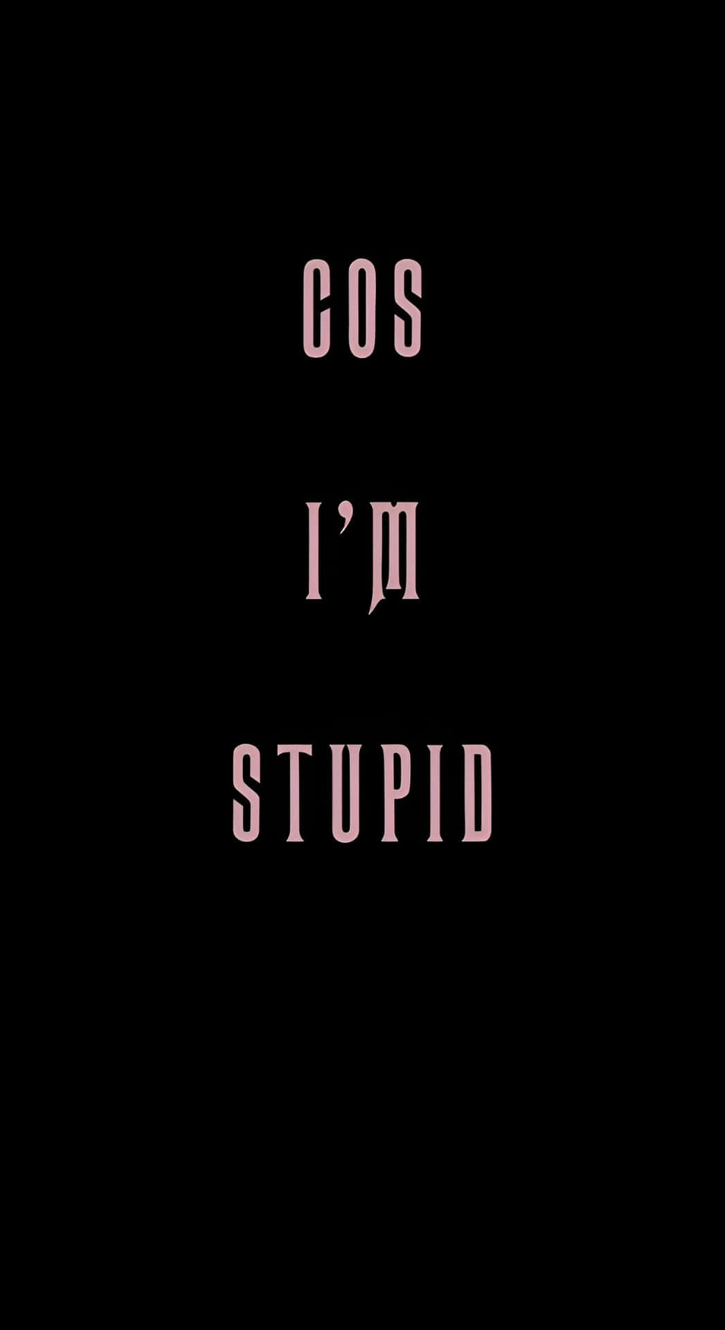  壁紙 — 粉紅色襯線文字顯示「cos i'm stupid」，居中在純黑色背景上。