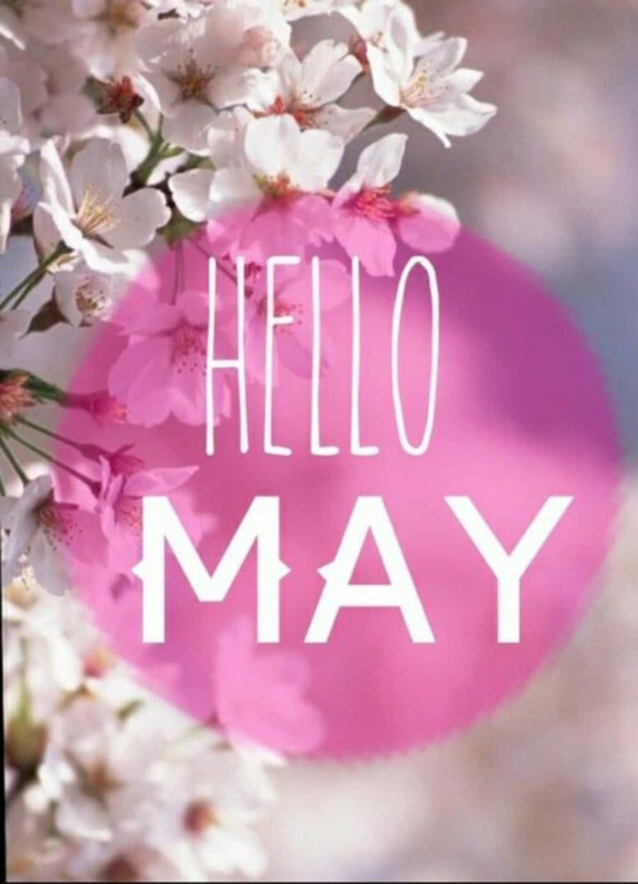 櫻花框住一個帶有 hello may 文字的粉紅色圓圈。