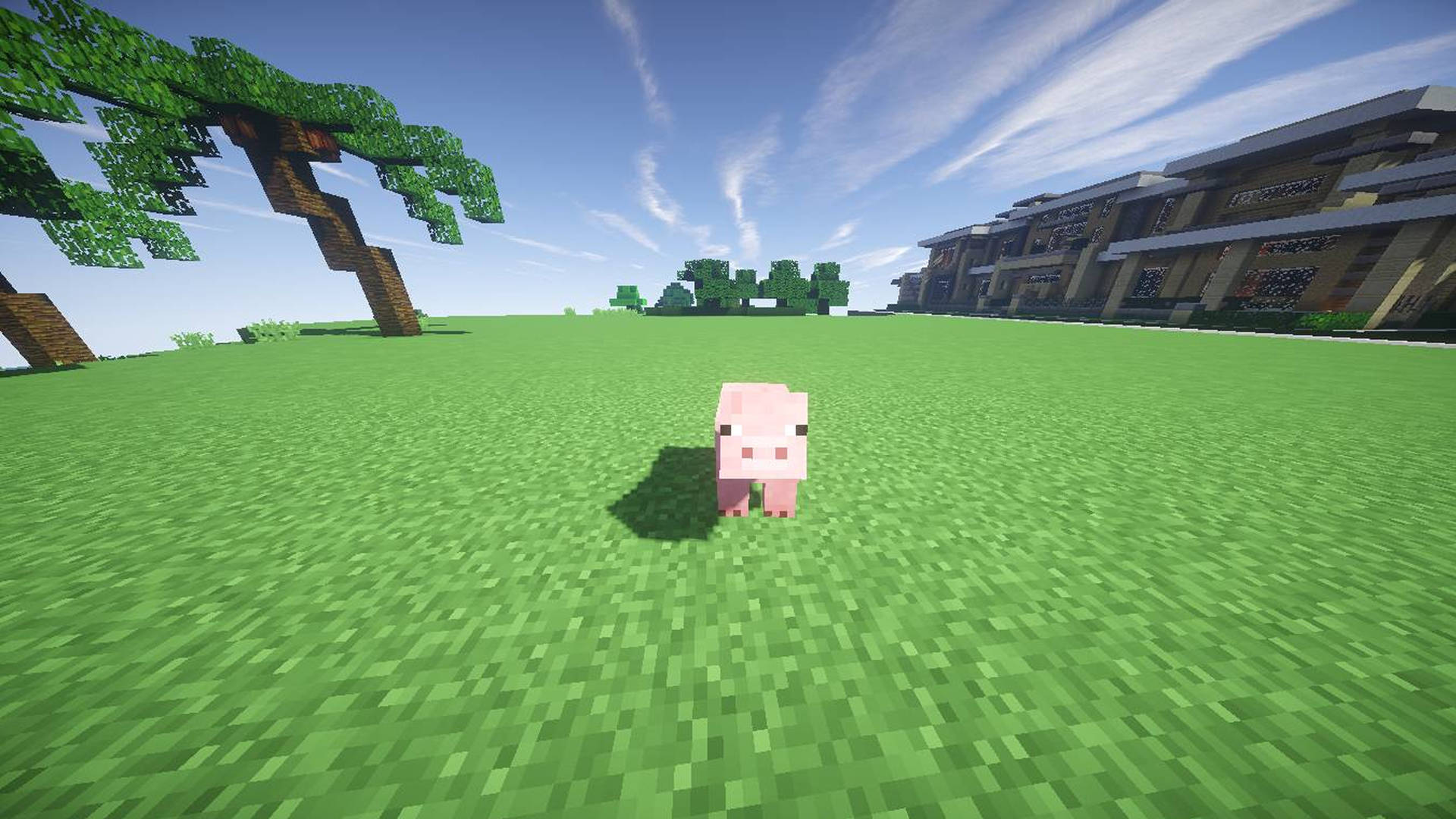 Minecraft草地上的粉紅豬，有樹木和房屋，藍天 — 我的世界 壁紙