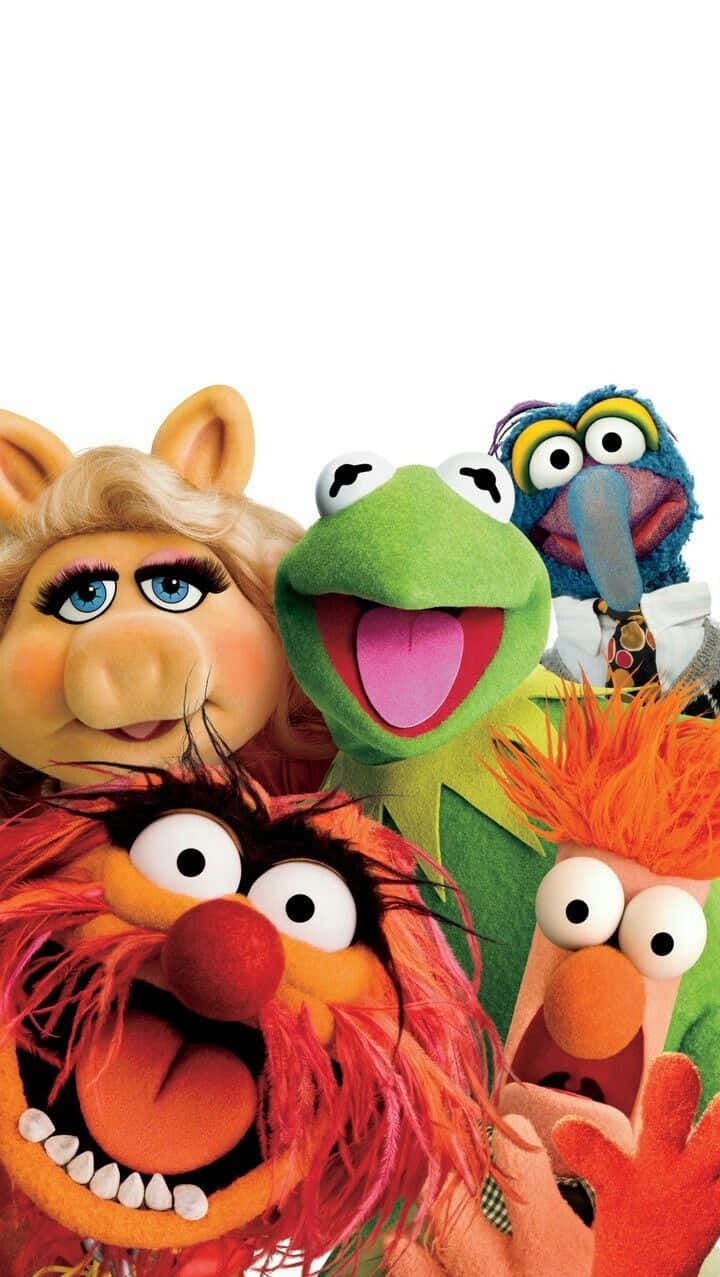  壁紙 — 五個色彩繽紛嘅Muppet角色，表情豐富，毛髮鮮豔，企喺純白色背景前，好近咁一齊。