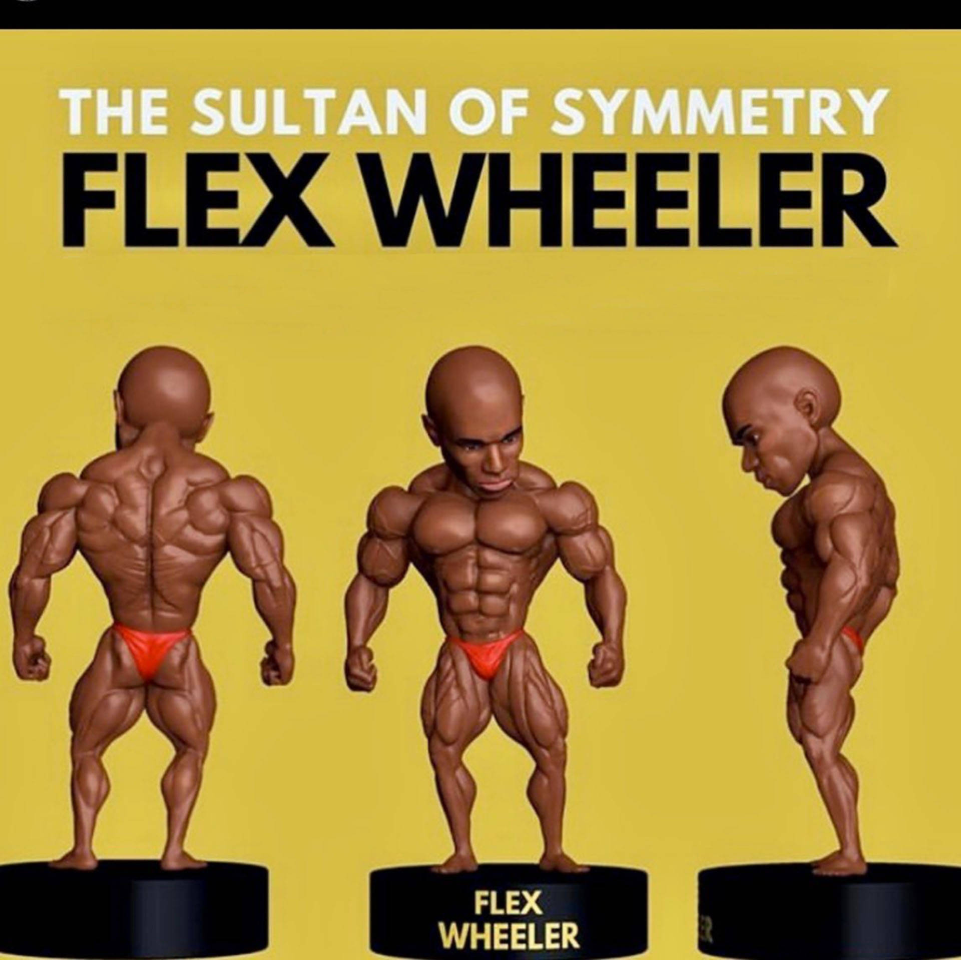 三個 Flex Wheeler 動作人偶，從不同角度展示在黑色底座上。