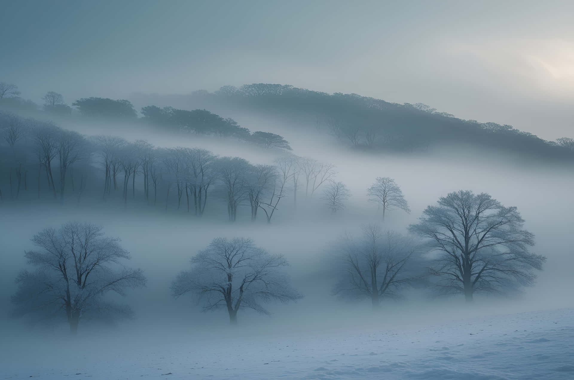 白雪覆蓋的山坡，光禿禿的樹木在黎明時從濃霧中升起