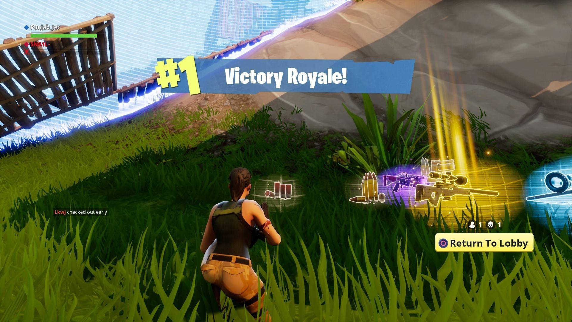 Fortnite玩家在長滿草的山丘上以發光物品贏得Victory Royale。