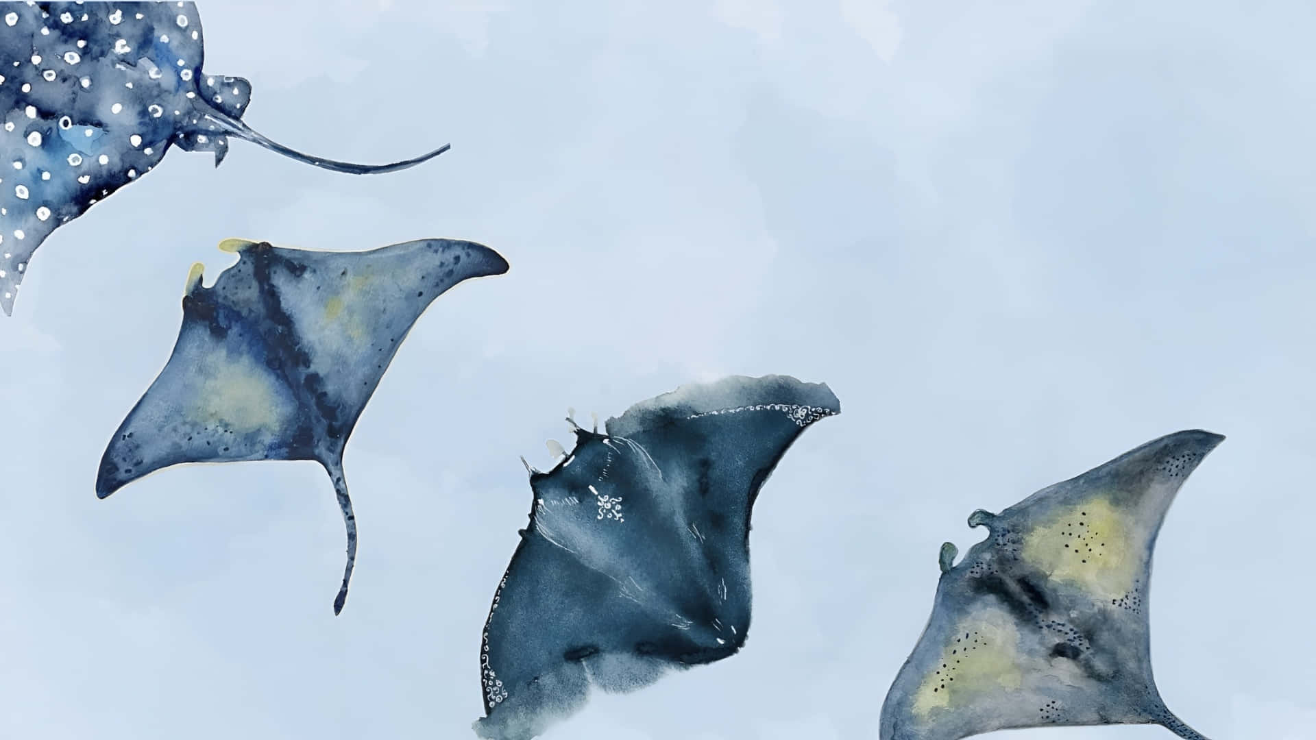  壁紙 — 四條優雅的魔鬼魚喺水彩插畫中優雅地滑過柔和嘅藍色水。