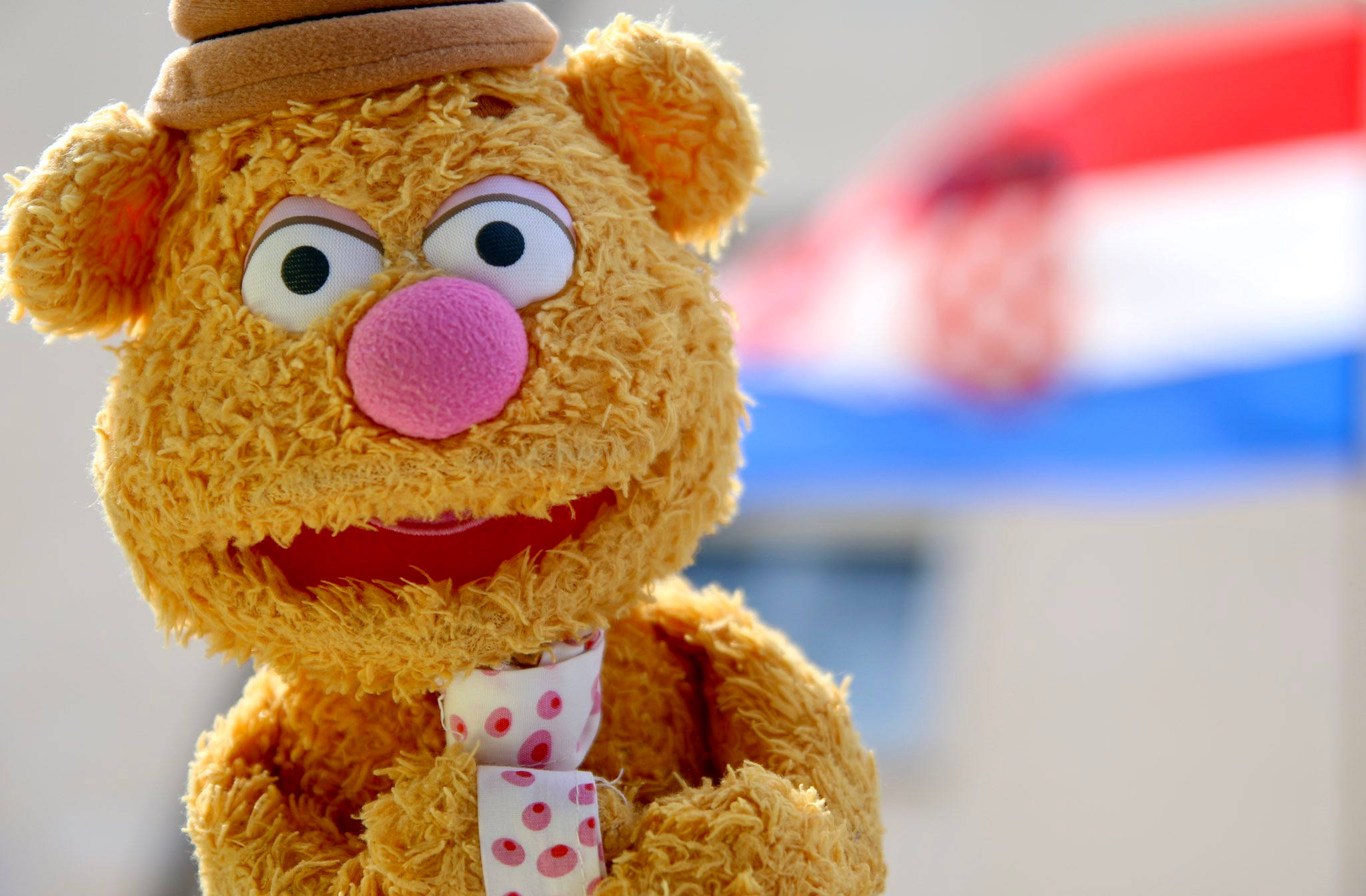 Fozzie Bear 粉紅鼻子 壁紙 — Fozzie Bear 的近距離特寫，戴著棕色帽子和圓點領帶，背景是模糊的克羅地亞國旗。