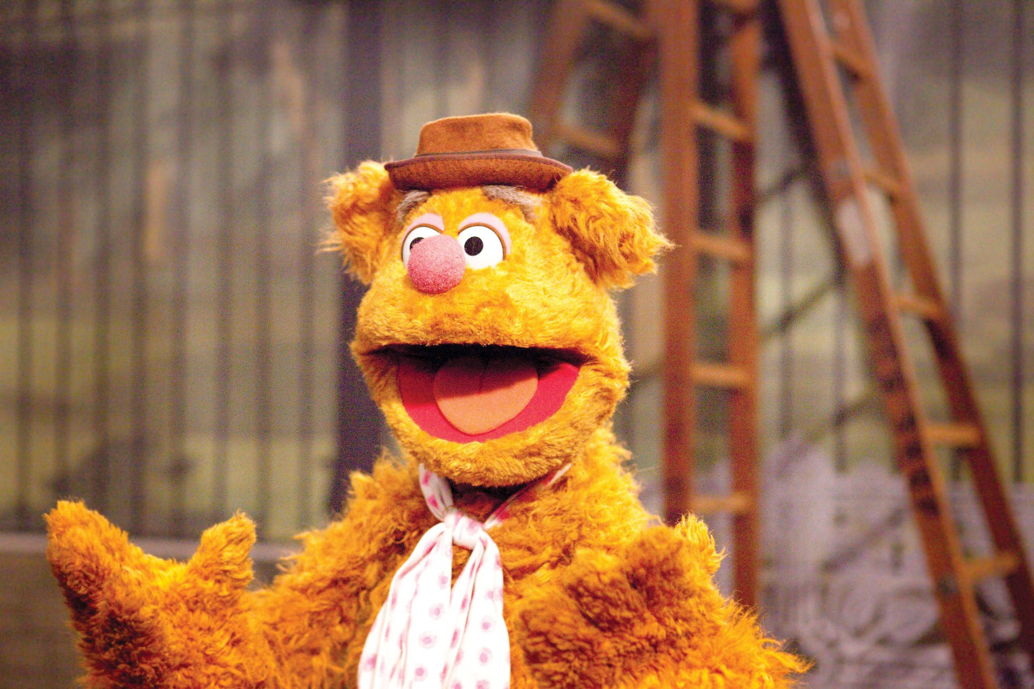 Fozzie Bear開心臉龐 壁紙 — Fozzie Bear 戴著棕色帽子和圓點領帶，在帶有梯子的模糊舞台背景前愉快地微笑。
