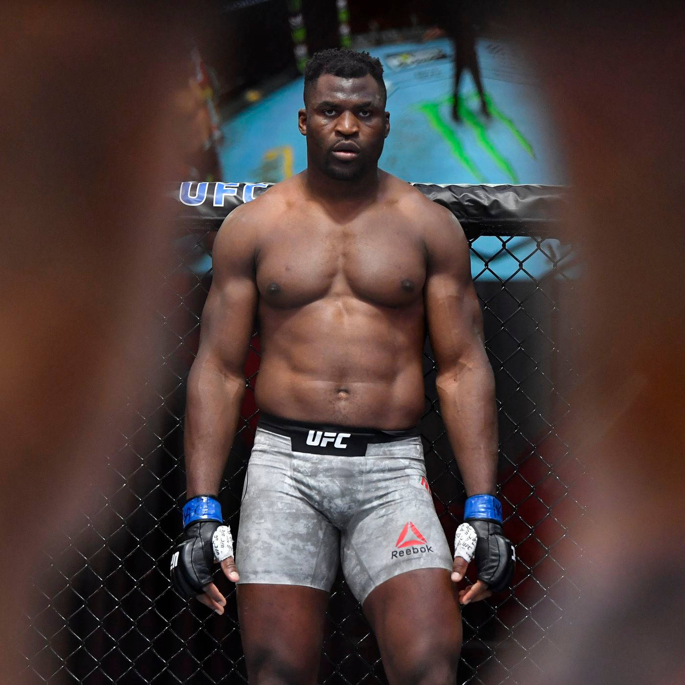 穿著灰色短褲和藍色手套的UFC拳手站在八角籠內。