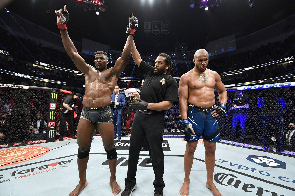 UFC拳手在八角籠內與裁判慶祝勝利。