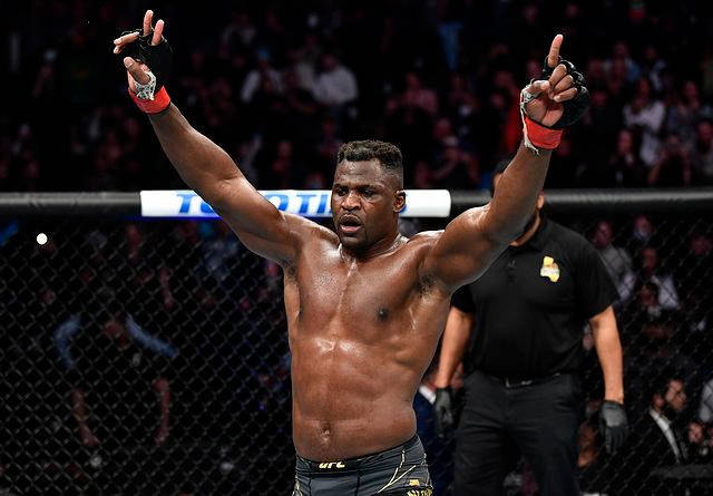 UFC拳手在八角籠中高舉雙臂慶祝勝利。