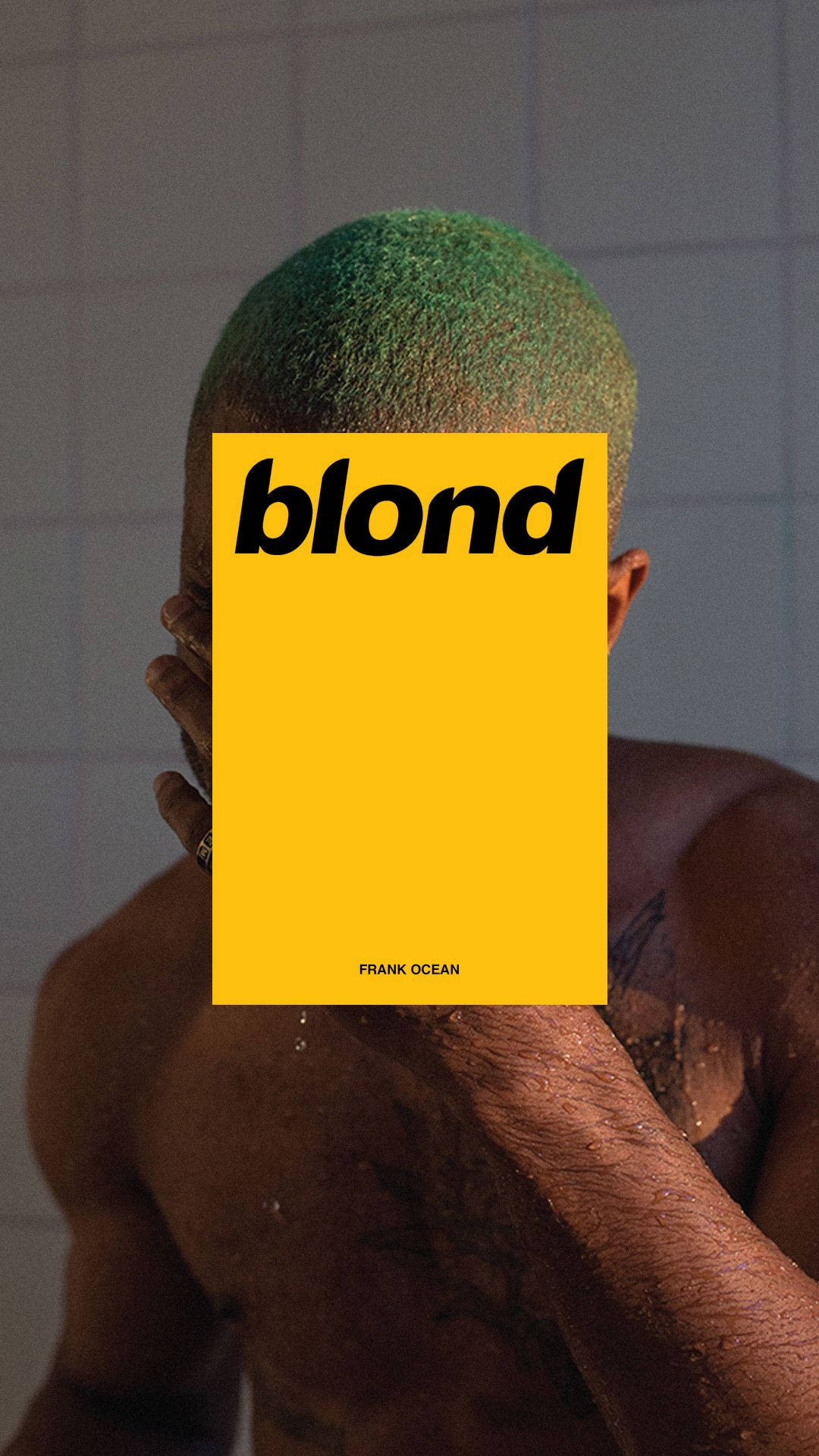 多才多藝的 Frank Ocean 壁紙 — 一個綠髮的人喺瓷磚浴室入面將黃色專輯封面舉喺面前。